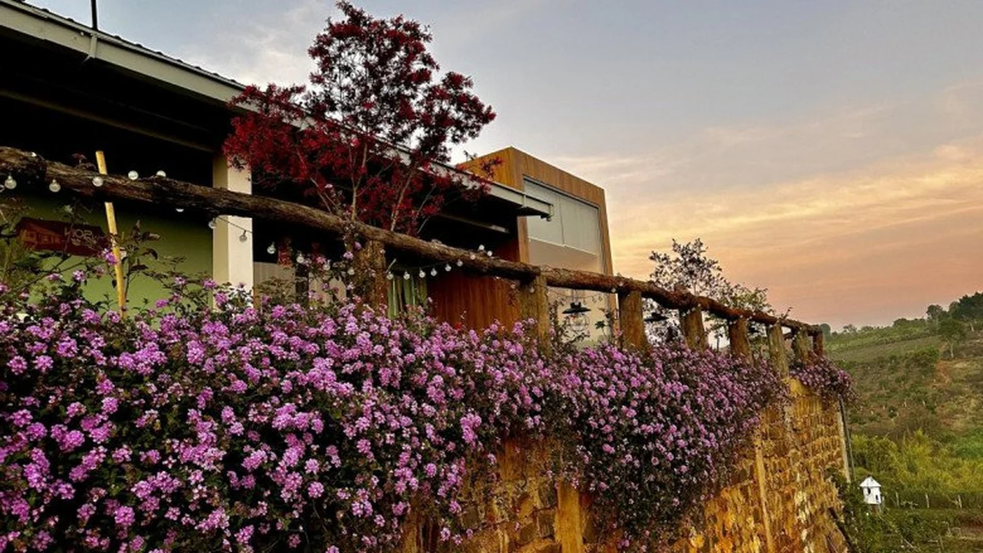 Inside a Stunning 2,000sqm Garden Sanctuary: A Singer’s Peaceful Retreat Far from the City