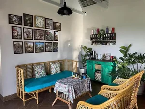 Inside a Stunning 2,000sqm Garden Sanctuary: A Singer’s Peaceful Retreat Far from the City - image 3