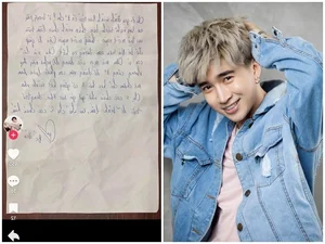 Vietnamese Celebrities and the Consequences of Legal Scandals - image 2