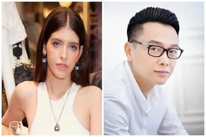 Vietnamese Celebrities and the Consequences of Legal Scandals - image 4
