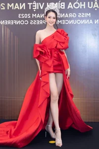 Miss Bao Ngoc Flaunts Her Famous 1.23m Legs in Ultra-Short Dress - image 8