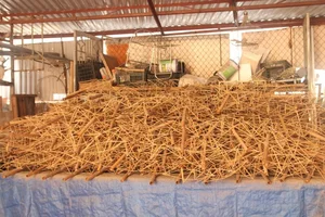 Preserving Culture: The Female Artisan Keeping Mid-Autumn Toys Alive - image 5