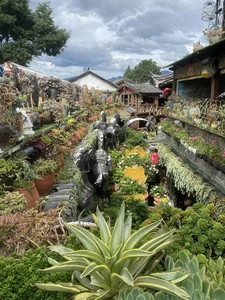 Discover the Magic of Lijiang: A Guide to China’s Most Enchanting Ancient Town - image 13