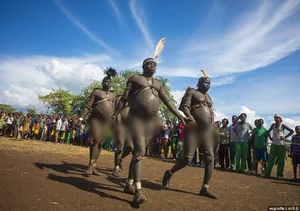 Bodi Tribe of Ethiopia: Where Big Bellies Define Male Beauty and Status - image 6