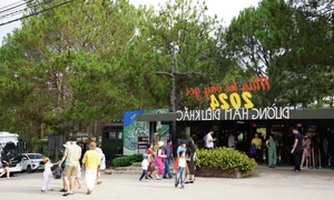 Exploring Da Lat Tourism: Navigating Traffic and Crowds During Peak Holiday Seasons - image 5