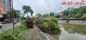 Hanoi's To Lich River Water Levels Rise and Change Color - image 6