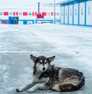 Inside Norilsk: Surprising Daily Life in Russia’s Northernmost Extreme Arctic City - image 8