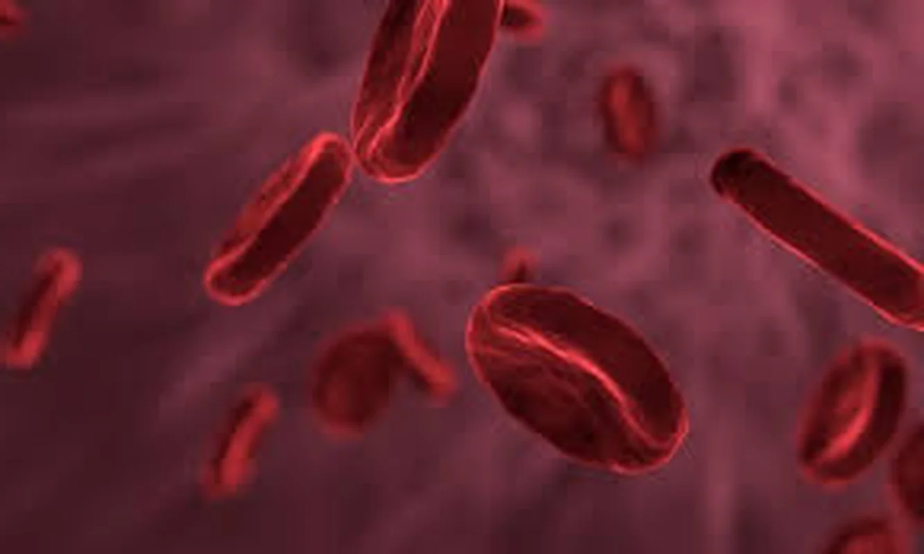 Medical Science: Understanding the Rarest Blood Types and Their Impact in Vietnam