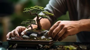 10 Surprising Facts About Bonsai Trees You Didn't Know - image 3