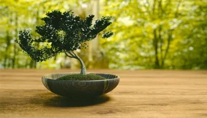 10 Surprising Facts About Bonsai Trees You Didn't Know - image 8