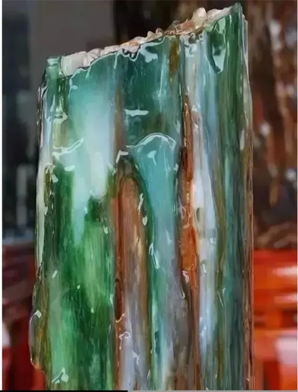 A Lucky Find: The Mystery Behind the Rare Log Discovered in the Forest