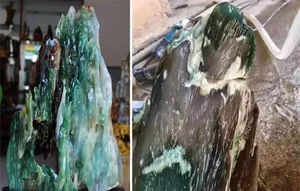 A Lucky Find: The Mystery Behind the Rare Log Discovered in the Forest - image 1
