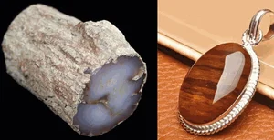 A Lucky Find: The Mystery Behind the Rare Log Discovered in the Forest - image 2