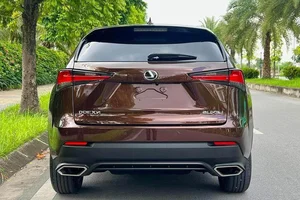 Used 2019 Lexus NX300 for Sale in Hanoi: Luxury at a Price - image 5