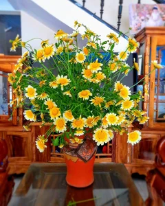 Creative DIY Broccoli Flower Arrangements: The Surprising Home Decor Trend Taking Over - image 3