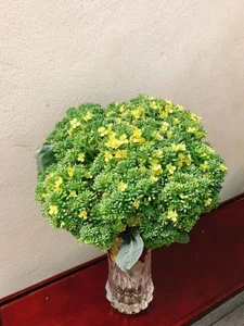 Creative DIY Broccoli Flower Arrangements: The Surprising Home Decor Trend Taking Over - image 4