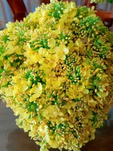 Creative DIY Broccoli Flower Arrangements: The Surprising Home Decor Trend Taking Over - image 2