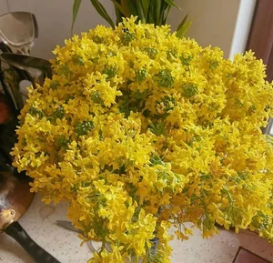 Creative DIY Broccoli Flower Arrangements: The Surprising Home Decor Trend Taking Over - image 7