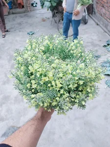Creative DIY Broccoli Flower Arrangements: The Surprising Home Decor Trend Taking Over - image 6