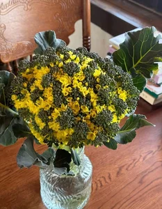 Creative DIY Broccoli Flower Arrangements: The Surprising Home Decor Trend Taking Over - image 8