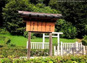 Mystical Powers of Queen Himiko: The Legendary Shaman Queen of Ancient Japan - image 6