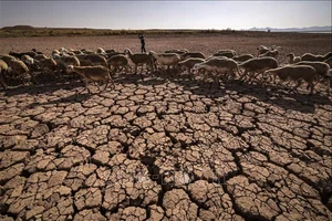 A Global First: The Earth's Water Cycle Faces Unprecedented Imbalance - image 3