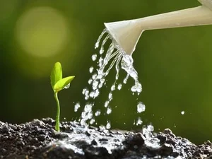 A Global First: The Earth's Water Cycle Faces Unprecedented Imbalance - image 8