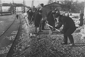 Daily Life in the Soviet Union During WWII: A Glimpse into Wartime Resilience - image 5