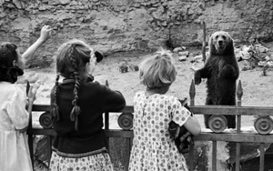 Daily Life in the Soviet Union During WWII: A Glimpse into Wartime Resilience - image 1