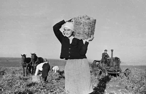 Daily Life in the Soviet Union During WWII: A Glimpse into Wartime Resilience - image 6