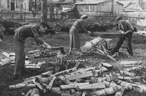 Daily Life in the Soviet Union During WWII: A Glimpse into Wartime Resilience - image 10