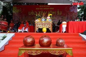 Discover the Martial Spirit of the Thuy Linh Ball-Wrestling Festival: A Vibrant Vietnamese Cultural Tradition - image 5
