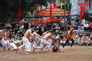 Discover the Martial Spirit of the Thuy Linh Ball-Wrestling Festival: A Vibrant Vietnamese Cultural Tradition - image 9