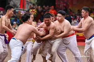 Discover the Martial Spirit of the Thuy Linh Ball-Wrestling Festival: A Vibrant Vietnamese Cultural Tradition - image 0