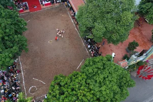 Discover the Martial Spirit of the Thuy Linh Ball-Wrestling Festival: A Vibrant Vietnamese Cultural Tradition - image 1