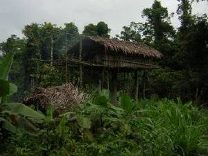 Exploring the Lives of the World's 5 Most Isolated Tribes - image 10