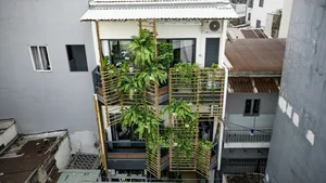 Tour a Stunning 25m2 Green Alley House in Vietnam - image 3