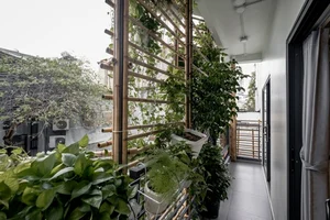 Tour a Stunning 25m2 Green Alley House in Vietnam - image 5