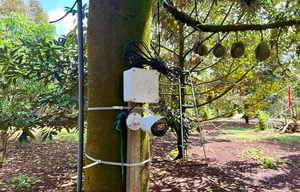 Innovative Anti-Theft Methods During Record-High Agricultural Prices - image 3