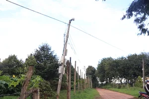 Innovative Anti-Theft Methods During Record-High Agricultural Prices - image 2