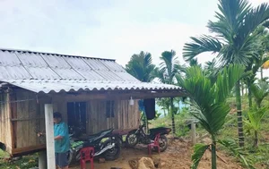 Innovative Anti-Theft Methods During Record-High Agricultural Prices - image 13
