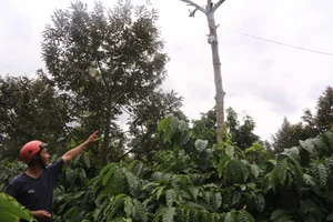 Innovative Anti-Theft Methods During Record-High Agricultural Prices - image 7