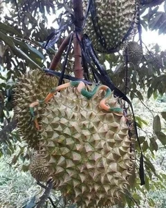 Innovative Anti-Theft Methods During Record-High Agricultural Prices - image 10