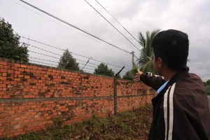 Innovative Anti-Theft Methods During Record-High Agricultural Prices - image 11
