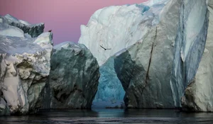 Greenland Geopolitics: Why the US Eyed the World's Largest Island - image 13