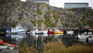 Greenland Geopolitics: Why the US Eyed the World's Largest Island - image 12