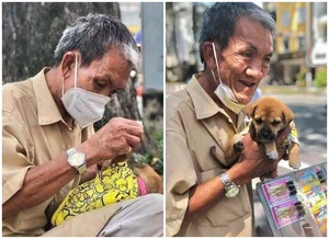 Heartwarming Photos: Street Dogs and Their Owners in Saigon - image 3