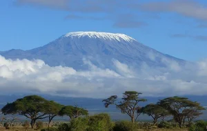 Exploring the Unique Wonders of Africa's Most Majestic National Park - image 1