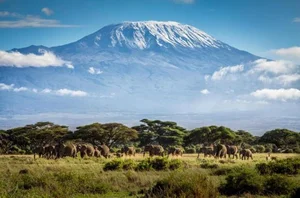Exploring the Unique Wonders of Africa's Most Majestic National Park - image 5