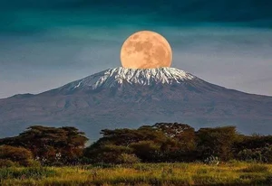 Exploring the Unique Wonders of Africa's Most Majestic National Park - image 6